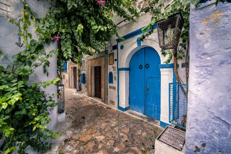 Journée Carthage ,Sidi Bousaid et Médina de Tunis