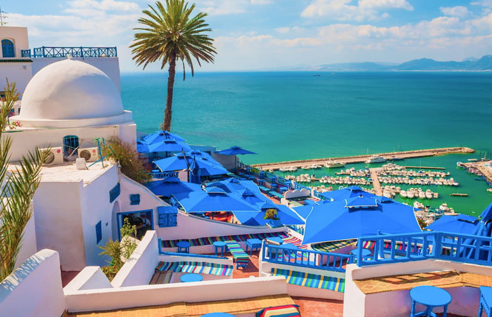 Visite du Village Pittoresque de Sidi Bou Said